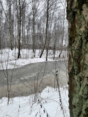 ������ ����, ����������!. ������� ������ 17 ������ � ��������� ����� �� ������� ���������� ����������