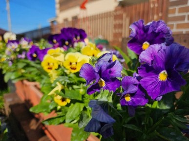 ������ ���: ����� ����� ������ � ������ ��� ��������� ��������� ��������