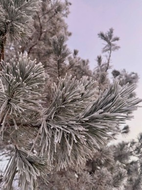 ������ ����!� ������� ������ �� 18 ������