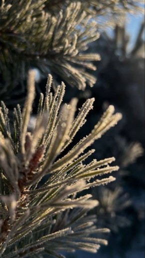 ������ ����, ����������!. ������� ������ 18 ������ � ��������� ����� �� ������� ���������� ����������