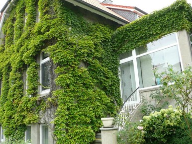 ��� ����� ��������� ���� ���: 10 ����������� ��������