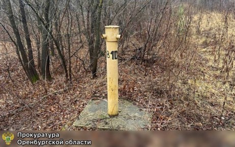 ������������ ��������������� �������� ������ �������� ������������ � ������ ���������� ����������� �����������