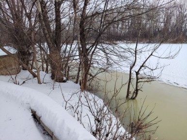 ������� ����� � ����� ������