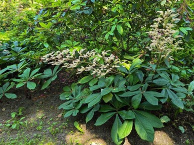 ������, ������� ������ � �����������: ����� ���������� ��������-������� � �������� ��������