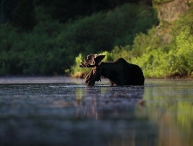 ����� ����� � �������� ����: ��� ������� ��������� � 2026 ����?