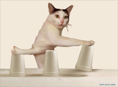 ������ ������� �������� ����������� � ���������� ��������