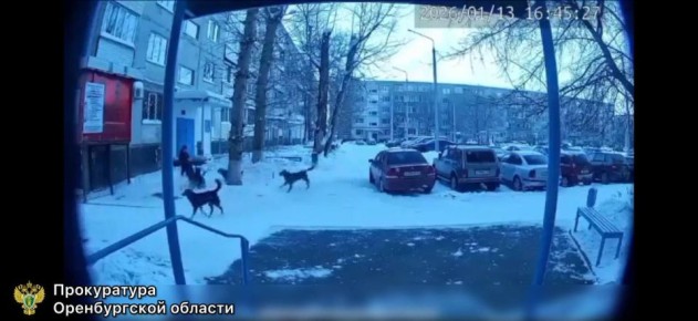 � ���������� ��������� ���� ��-�� ��������� ��������� �����