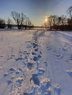 ������ ����!� ������� ������ �� 21 ������