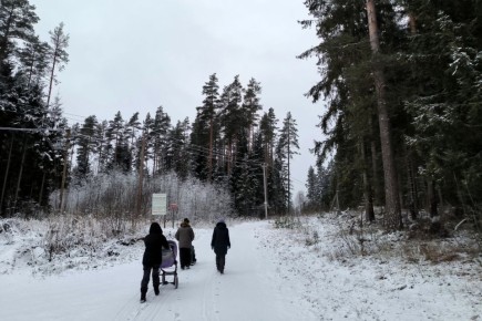 ������������ ������ ������ ������, ������� ����� �� ��� ������������