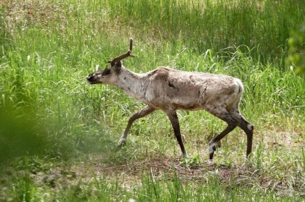 � ���������� ��� ���������� ���������� �� ����� �� �����