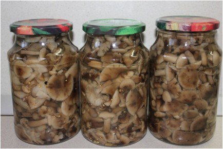 Маринованные грибы на зиму: идеальный способ хранения в квартире