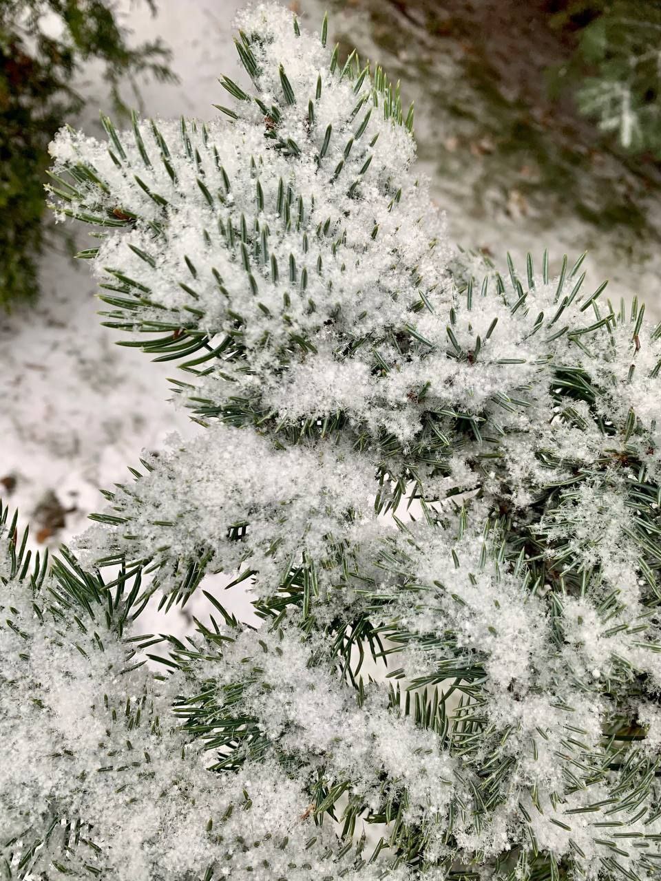 Доброе утро! Прогноз погоды на 22 января