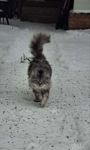 ������ ����!� ������� ������ �� 23 ������