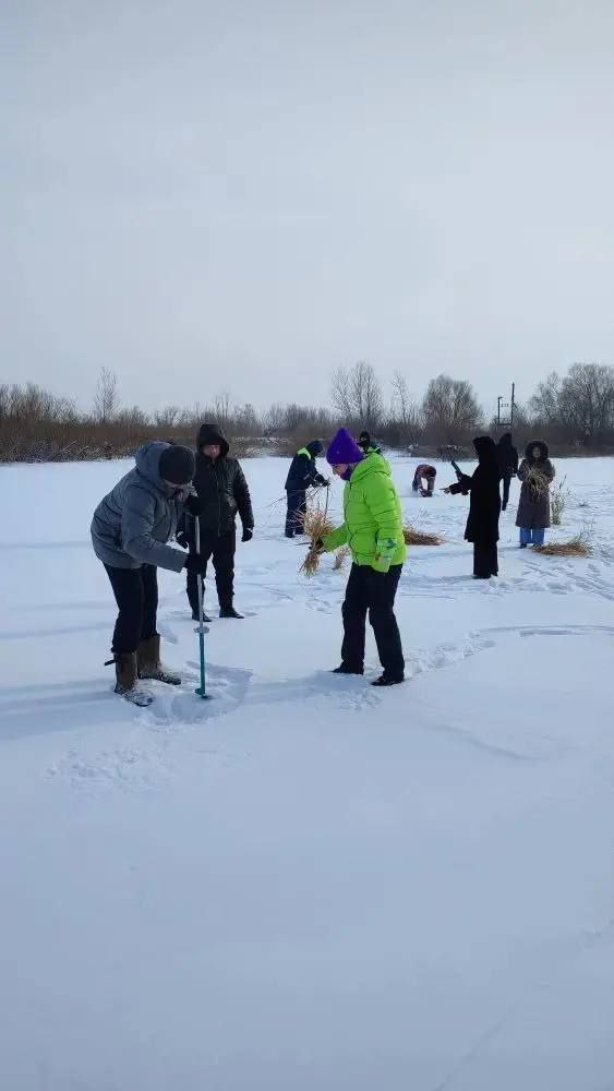 Зима – непростое время для обитателей водоемов Зима – непростое время для обитателей водоемов