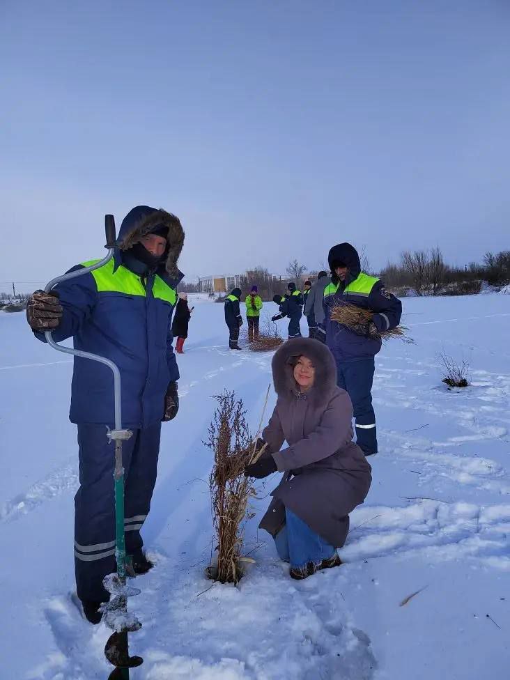 Зима – непростое время для обитателей водоемов Зима – непростое время для обитателей водоемов