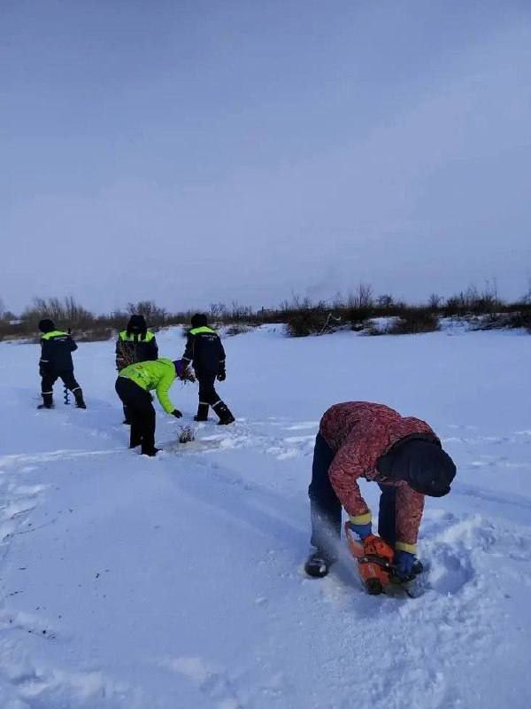 Зима – непростое время для обитателей водоемов Зима – непростое время для обитателей водоемов