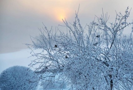 � ������������ ������� ��������� ������ �� -34�C