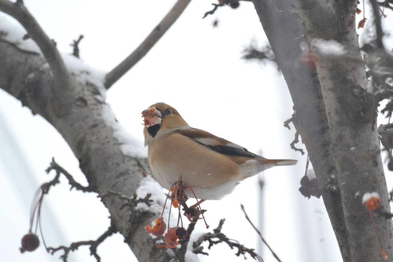 Доброе утро! Прогноз погоды на 25 января
