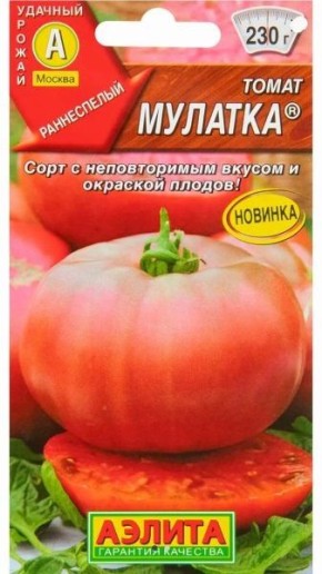 ����� �������: ������������� ���� � ���������� ��������� ��� ������ �������