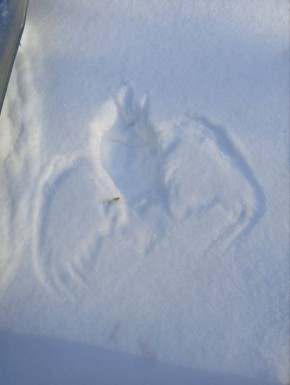 ����������� ������������� ������� ������: ���� ������� ����