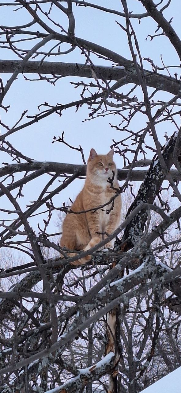 Доброе утро! Прогноз погоды на 26 января