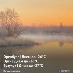 ������ ����