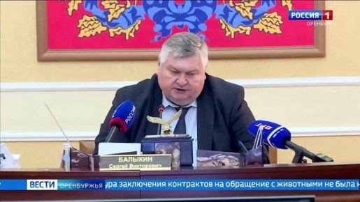 В 17 муниципалитетах Оренбуржья объявлены торги на отлов бездомных собак