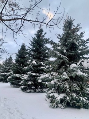 ������ ����!� ������� ������ �� 27 ������