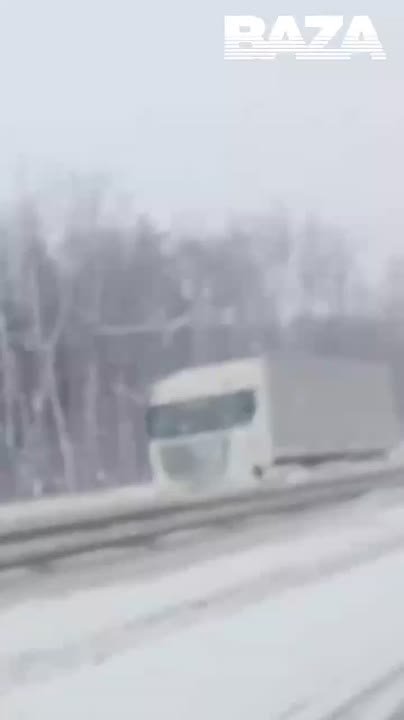 В Москве сильный снегопад парализовал дороги и аэропорты