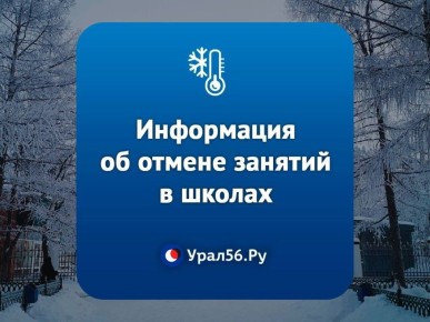 ������ ���� �� ���������: ���������� �� ������ ������� � ������ ������������ �������