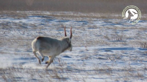 ������� �� 20 ��� � ��������� ����������� ������� ������� � ���������������� ��������