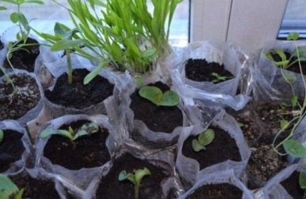 ����������� ������� � ������ ���������: ������� � ����������� ������