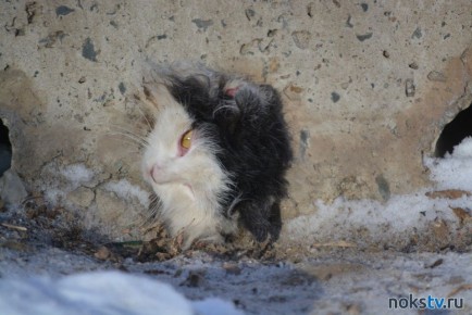 � ����������� ��� ������� � �������� �����