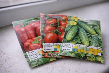 Сроки посева на пакетах семян: как правильно смотреть на них и что учитывать