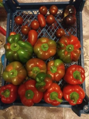 �� ������: ������� ������ ���� �� ������ ������ ��� ������ ���