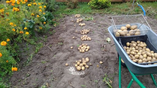 ����� ������ ��������� ����� �������� ������������ �� ����� ������ ������