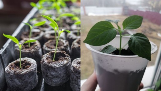 �������� ������ � ������� � ������ ������ �� ���������� �����