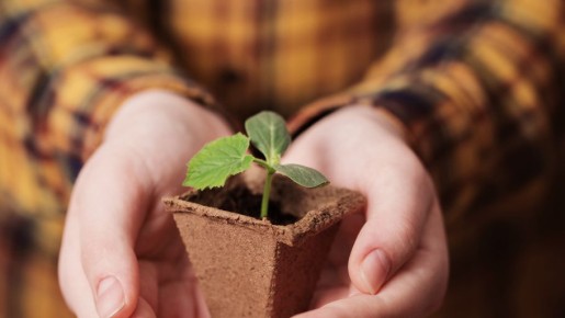 ��� ������� ������� ������ ������� � �� ������������� �� �������