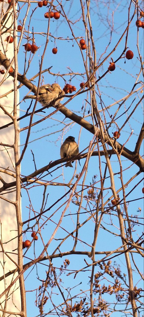 Доброе утро! Прогноз погоды на 28 января