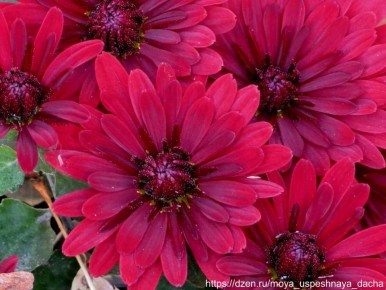 ������ ������ ��������� ���������� ���������� � �������� ��������� ������ �����