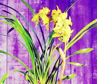 ��������� ����: ������ �������, ��������� �� �����������