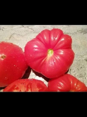 ����� ������� �����: ������������� ����������� ��� ������� � ���������, ��������� ������������