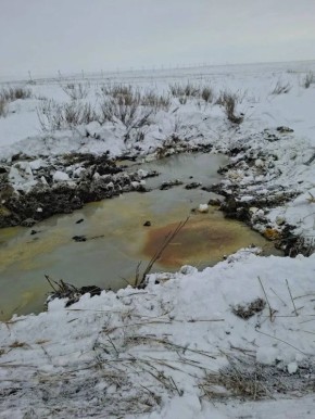 � ������������ ������ ��������� ����� ������������