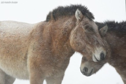 ��������� ���� :). ����: ��-����� "����������� ����������", ������� �����