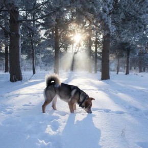 ������ ����!� ������� ������ �� 30 ������