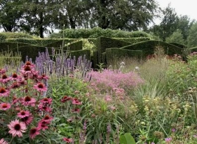 Новый взгляд на сад: как сделать дачу магнитом для внуков