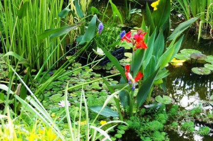 �������� ��� ��������: ������������ ���� ��� ������ ������� �����