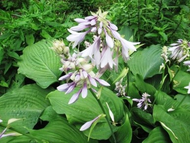 ��������� ����� � �������: ������� ��������� ����� � ���������