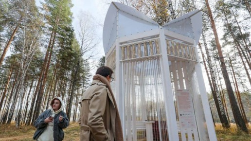 Теплица для сердец: искусство, объединяющее Рефтинский