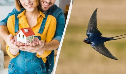 �������� ����� � �����: ������� � �������� ��� ������ ��������